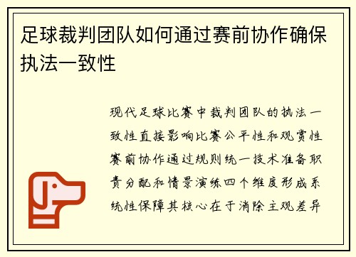 足球裁判团队如何通过赛前协作确保执法一致性